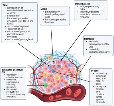 Non-cellular immunotherapies in pediatric central nervous system tumors